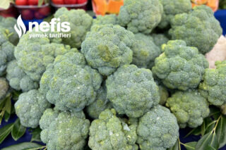 Brokoli Nasıl Yetiştirilir? Adım Adım İpuçları Tarifi