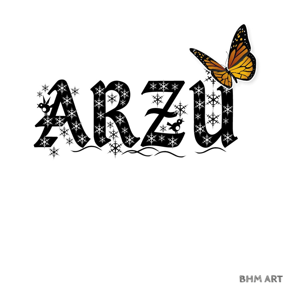 Arzu - Kapak görseli