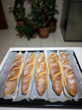 Fransız Baget Ekmek (Yeni Başlayanlar İçin) nyt-up-5455919_1165e7fbee70dc78116135083